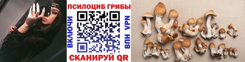 Галлюциногенные грибы GOLDEN TEACHER  Билибино 